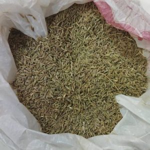 زیره سبز
